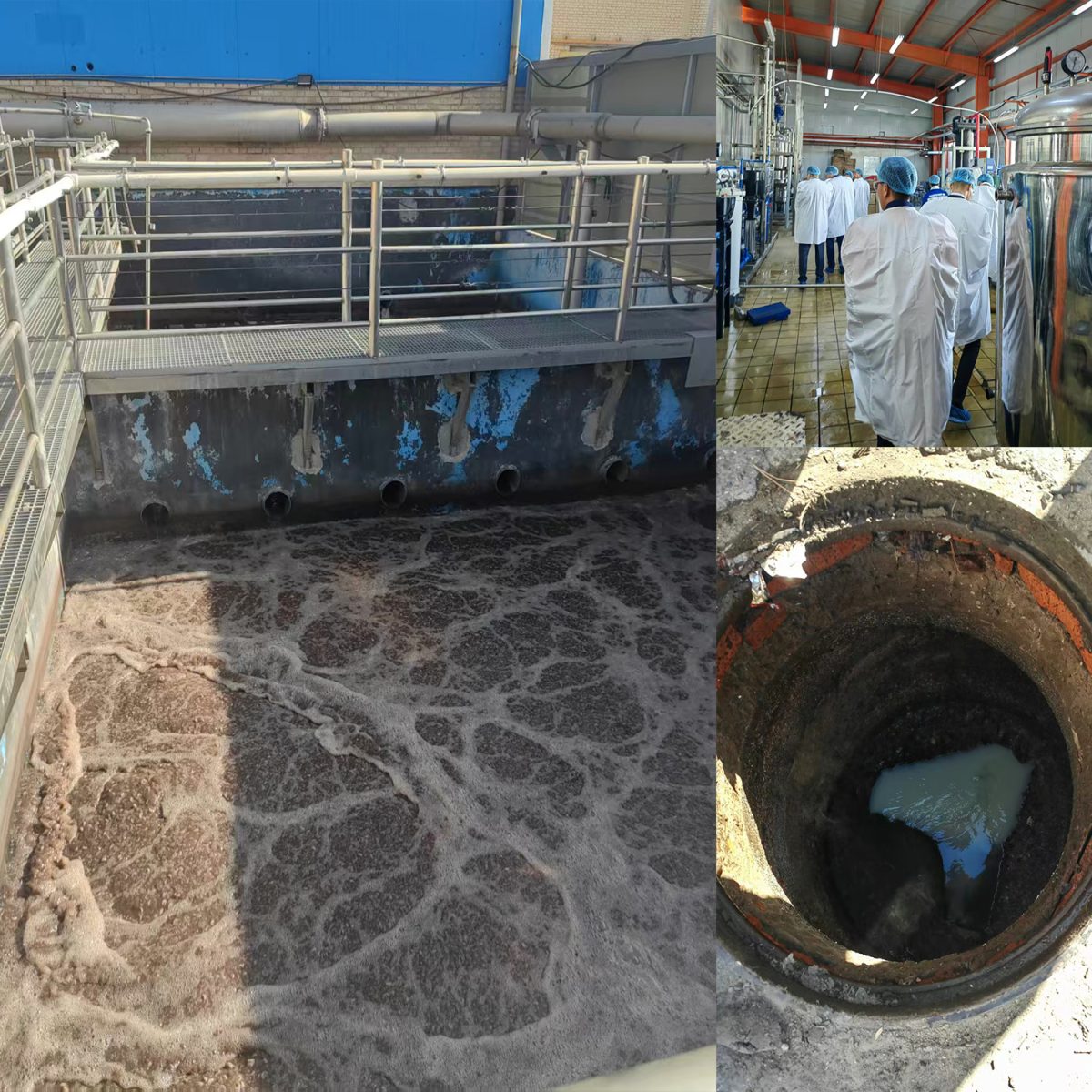 Dairy Milk Food Wastewater Treatment Plant