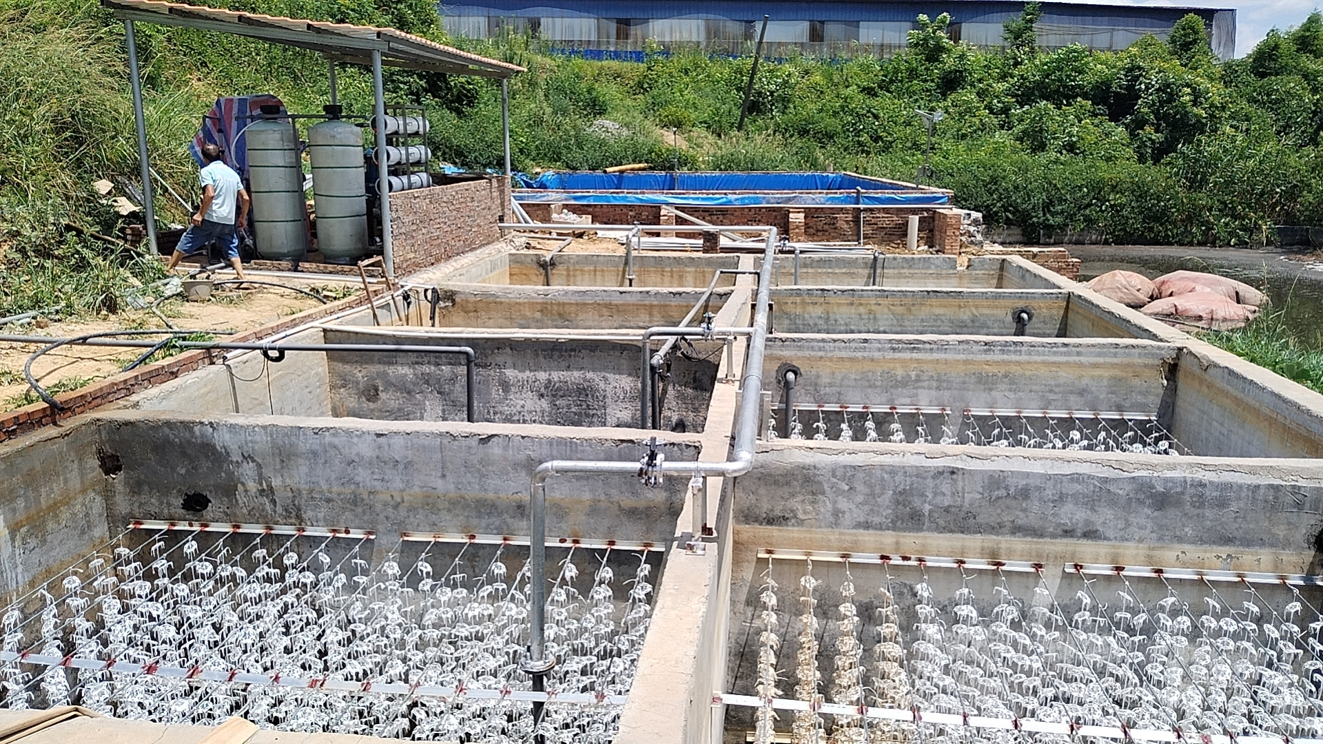 Piggery Farm Wastewater Treatment Plant Solution