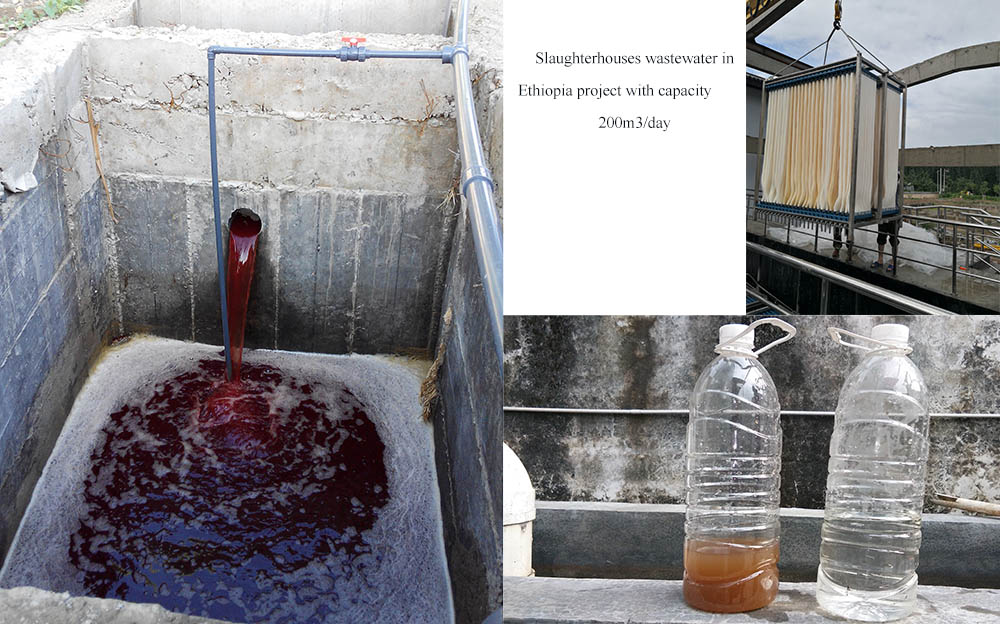 Membrane Bioreactors Application in Food Processing Wastewater