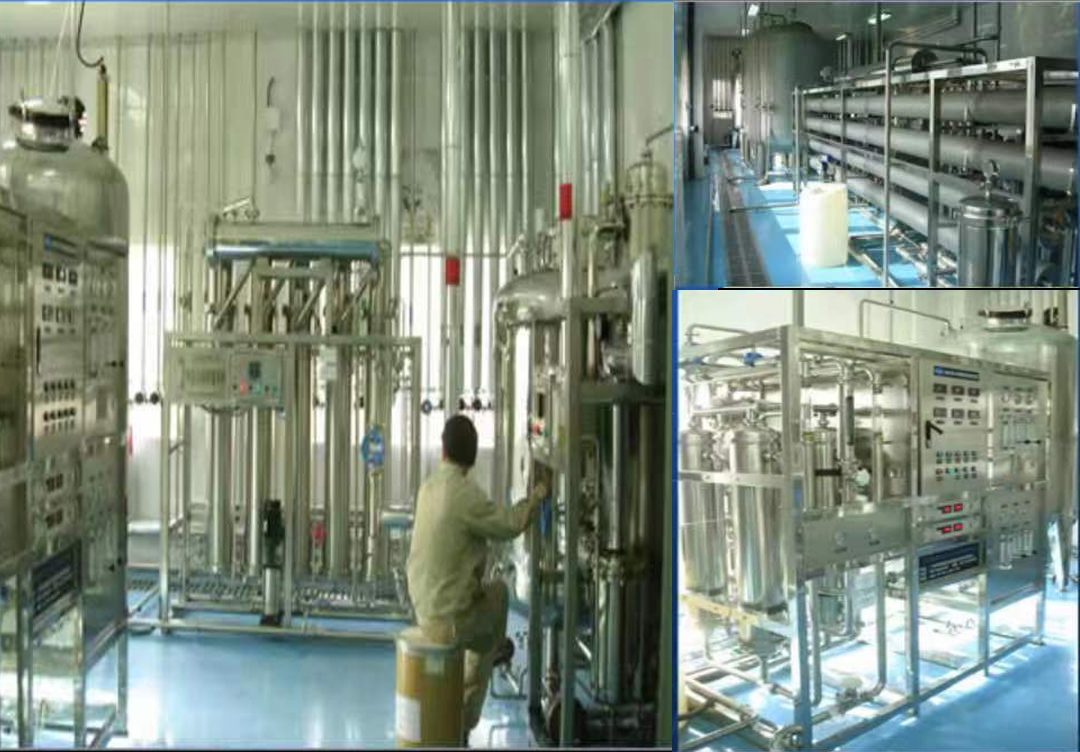 Purified Water System RO Plant and EDI