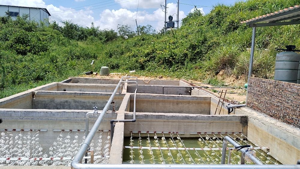 Piggery Farm Wastewater Treatment Plant Solution