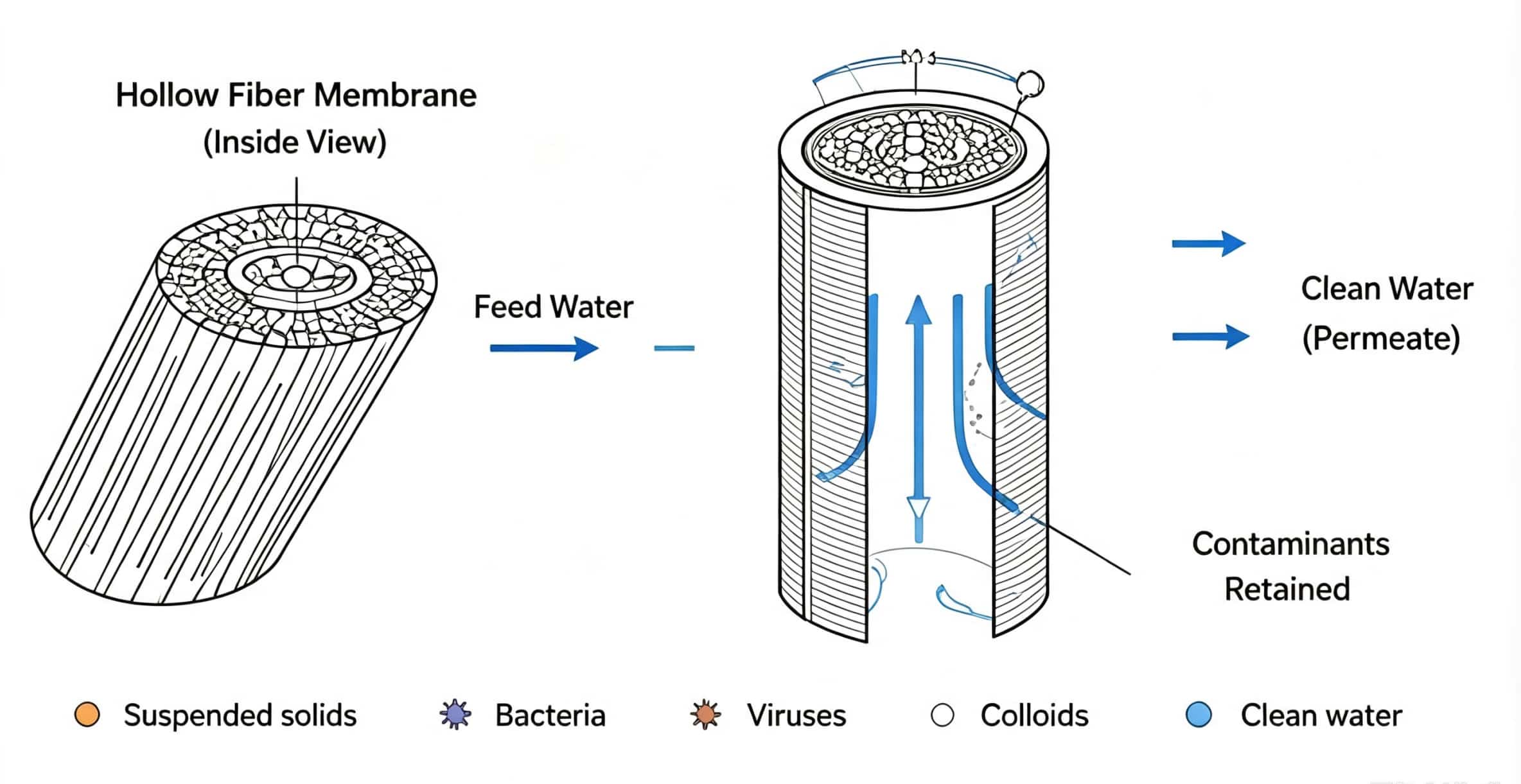 UF hollow fiber membrane filtration principle for removing suspended solids and microorganisms