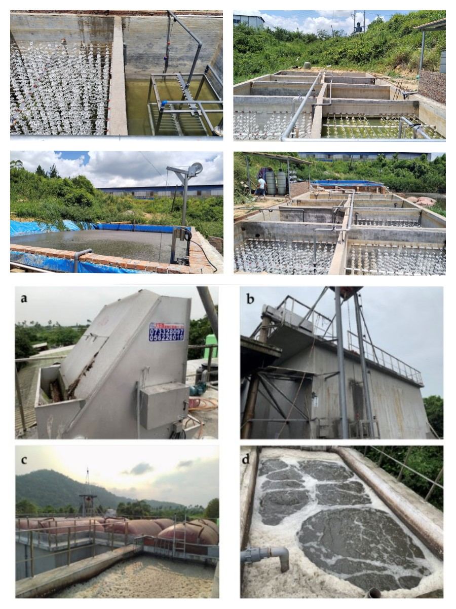 elevated-ammonia vegetable processing wastewater elevated-ammonia vegetable processing wastewater